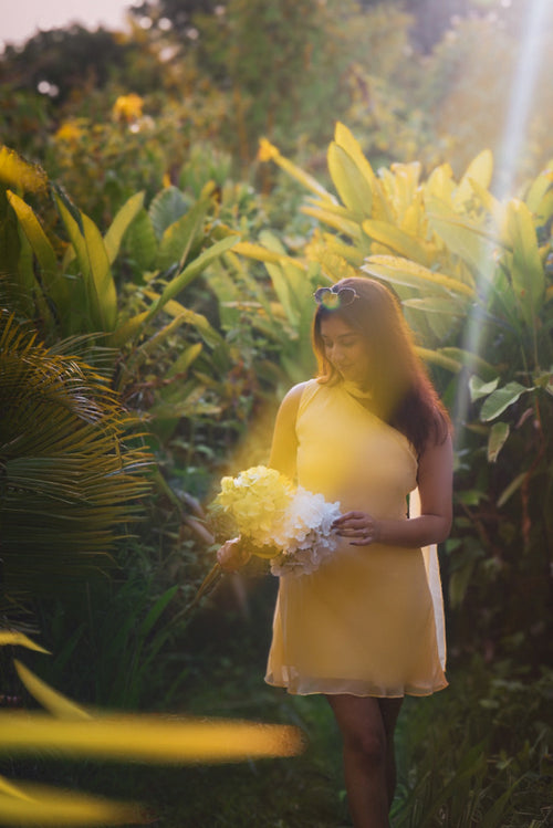 Belle Dress